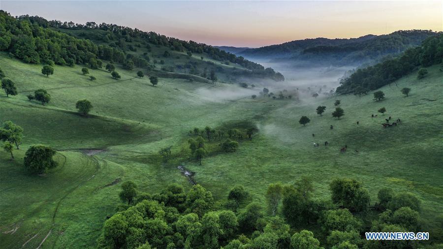 Galeria: Paisagem da pastagem de Guanshan em Shaanxi