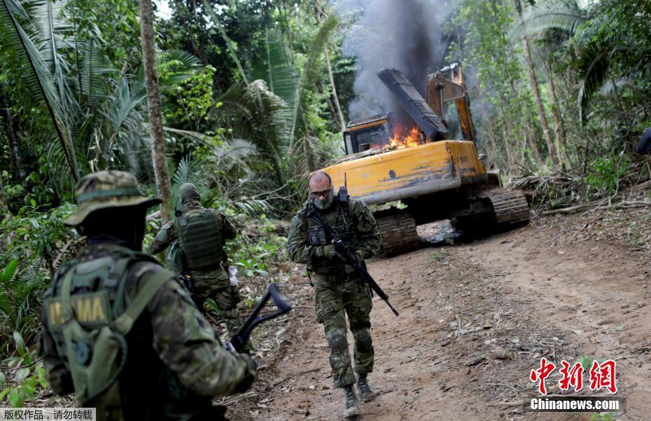 Polícia brasileira destrói máquinas usadas para desflorestação ilegal