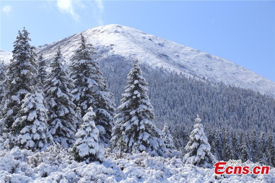 Guansu: neve chega na Fazenda de Cavalos Militar Shandan